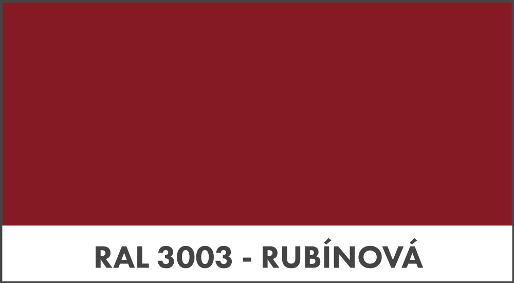 R3003_rubinova